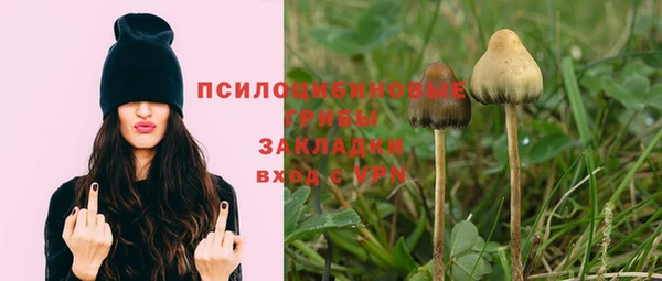 стаф Белокуриха