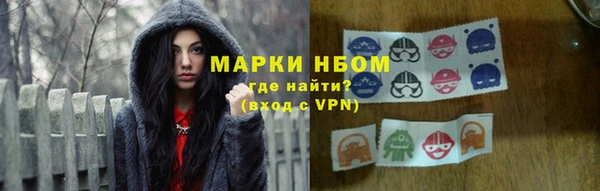 стаф Белокуриха