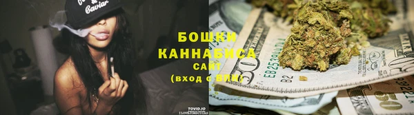 стаф Белокуриха