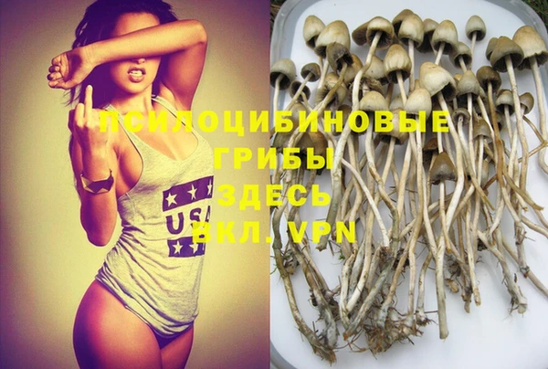 стаф Белокуриха
