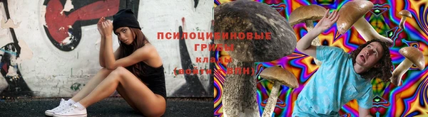 стаф Белокуриха